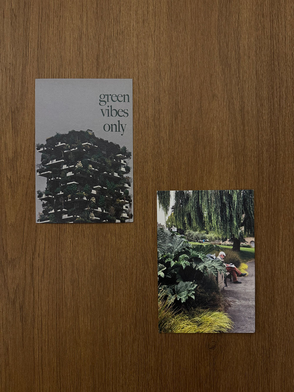 Interior views of CELITA CLINIC